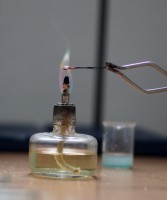 /album/a88/p1010029-small-jpg10/